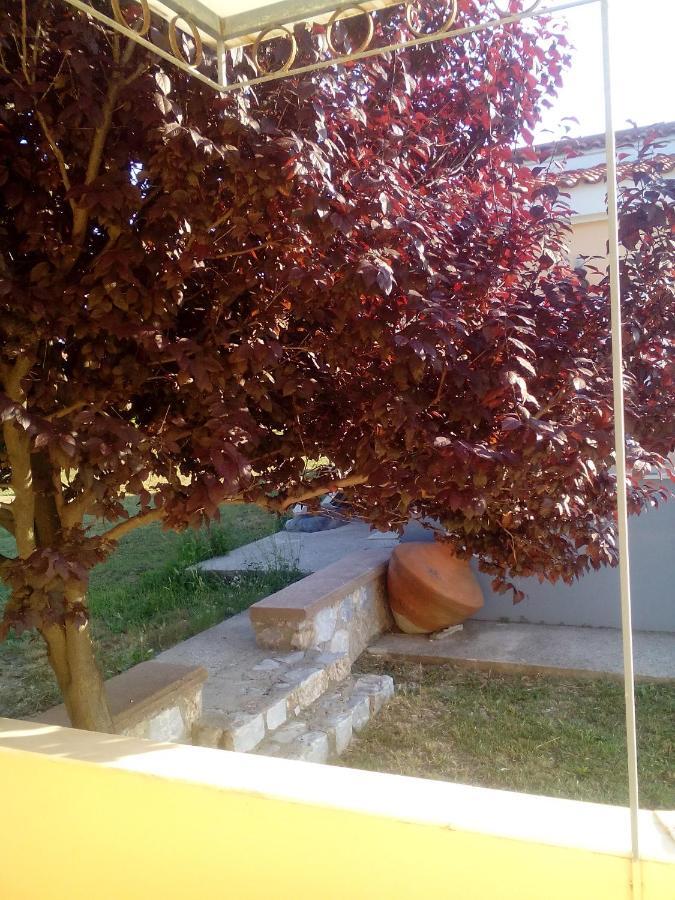 Studios Στουσ Πυργουσ Θερμησ Mytilene Ngoại thất bức ảnh